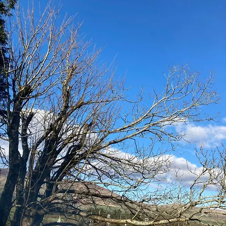 The Nest Διαμέρισμα